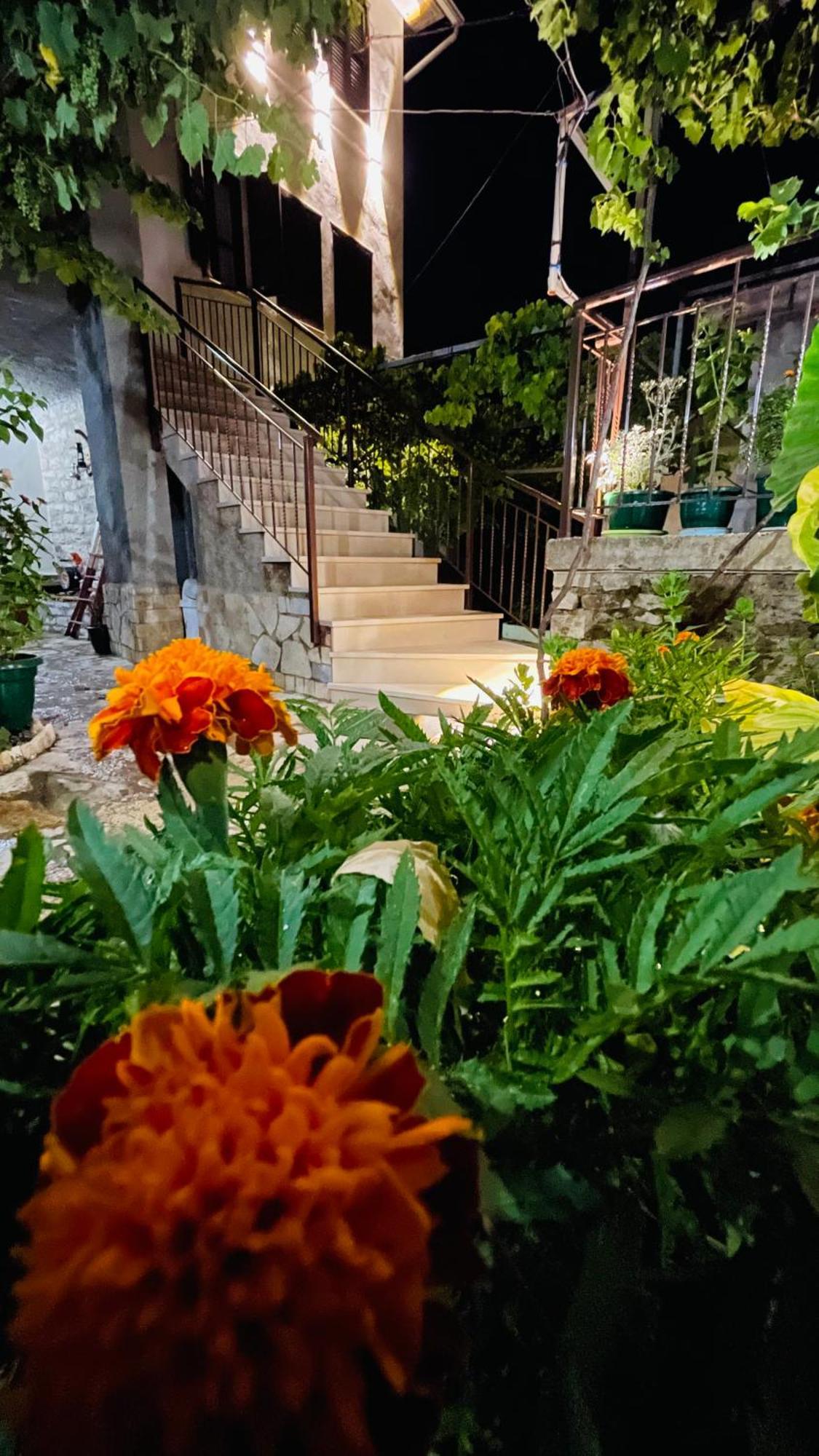 Denis Guesthouse 1930 ジロカストラ エクステリア 写真